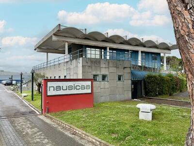 Stato e qualità del servizio di educazione scolastica gestito da Nausicaa S.p.A.: l'interrogazione presentata in consiglio da Filippo Mirabella