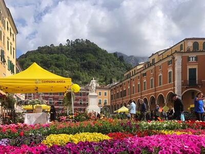 Torna sabato 11 aprile a Carrara la Festa dei Fiori