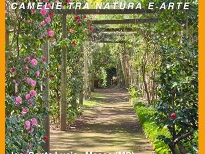 Giornate FAI di Primavera 2026 _Massa Carrara