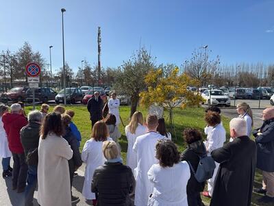 All'ospedale Apuane la commemorazione dei medici caduti per Covid: memoria, responsabilità e impegno per il futuro