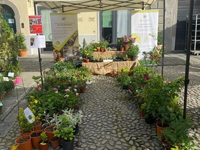 Istituto Tecnico Agrario Pacinotti-Belemesseri: studenti presenti al BancarelFiore di Pontremoli e alla Fiera di Soliera