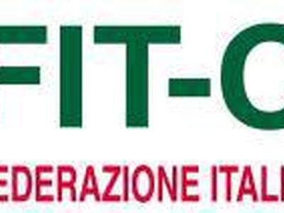 FIT-CISL presidio territoriale di Massa-Carrara: “Mancata fornitura documentazione richiesta con Accesso Civico Generalizzato e richiesta intervento ITL”