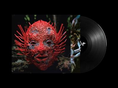 City Open Museum: Extrabold conquista il pubblico. Teatro Animosi sold out e ora il festival prosegue alla Spezia