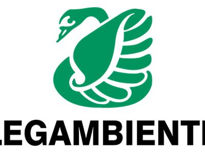 Femminismi ecologici. Transfemminismo e processi decoloniali in un mondo in rovina