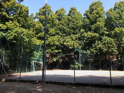 Parte la riqualificazione dell'area giochi del parco di San Ceccardo a Carrara