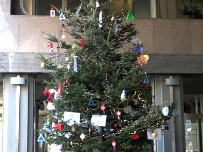 A Massa il 9 dicembre si inaugura l'albero di Natale dei bambini nell'atrio del comune
