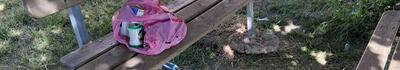 Richiesta di intervento urgente per manutenzione e decoro del Parco "Camilla" Aulla Centro