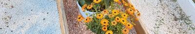 Ruba fiori dalle tombe del cimitero di Mirteto: incastrata da un geolocalizzatore da 30 euro