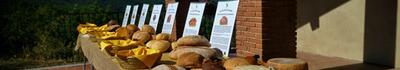 La Via dei Pani delle Apuane: a Careggine il pane diventa viaggio nella memoria della Garfagnana