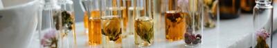 Aperte fino al 10 maggio le iscrizioni ai laboratori del Calendimaggio di Fivizzano