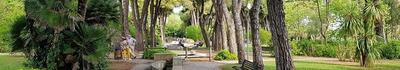 Chiuso il parco Puccinelli per lavori di manutenzione del verde nella mattinata di giovedì 28 maggio