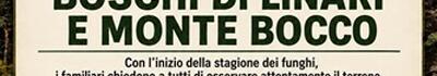 Sui funghi il presidente della Protezione civile di Fivizzano Maurizio Pietrini: "Non basta amare il bosco, bisogna conoscerne i rischi"