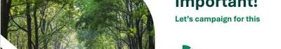 18 settembre : il Tree Tag day all'Istituto comprensivo Fossola Gentili di Carrara