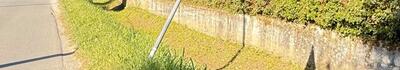 Poveromo, cresce il malcontento dei cittadini: incuria, vegetazione fuori controllo e rifiuti abbandonati