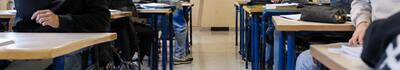 Topi in classe all'Itis Galilei di Avenza: "Problema che esiste da mesi e che non si risolve con le derattizzazioni. Chiesto intervento della Provincia" spiega il dirigente Antonio Giusa