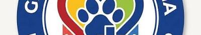 SOS cani e gatti: al numero 345 8827184 è attivo il servizio recupero 24 ore su 24