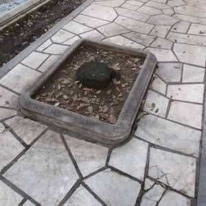 PHOTO-2023-01-09-17-19-03 (1)