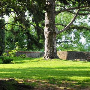 Parco_delle_Rimembranze_-_Bergamo_-_panoramio