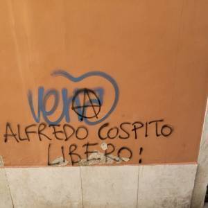 IMG-6961