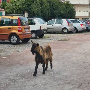 IMG-20230313-WA0007