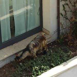 IMG-20230313-WA0008