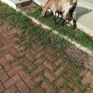 IMG-20230313-WA0009