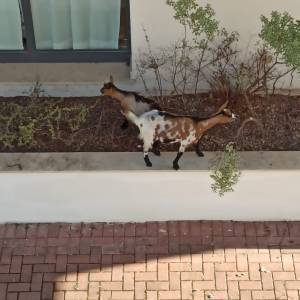 IMG-20230313-WA0014