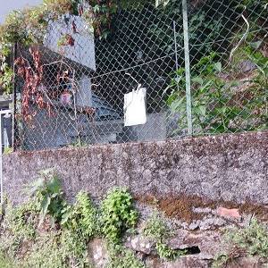 IMG-20230718-WA0005