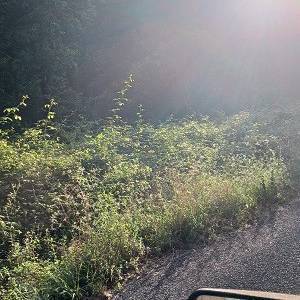 IMG-20230718-WA0006