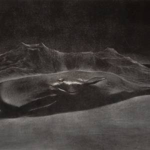 Il leviatano_ Luca De Maria