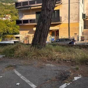 e68ec591-1ddb-4a21-b3e9-76b8b909d8c6