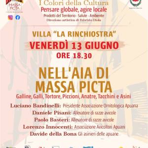 Massa picta social 06_13