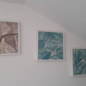 foto 2 Oculistica