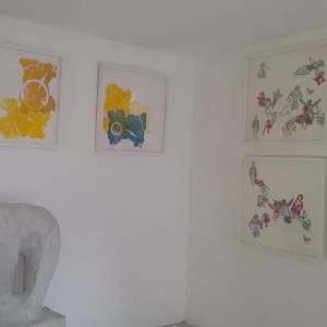 foto 3 Oculistica