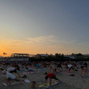 pilates 251