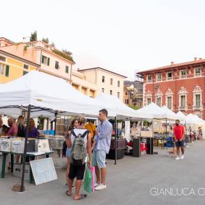 IMG_5315 (1) (1) (1) (1)