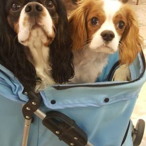 IMG-20250912-WA0016