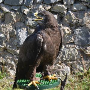 IMG-20251029-WA0034 (2)