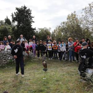 Timeline 1_01_00_12_45