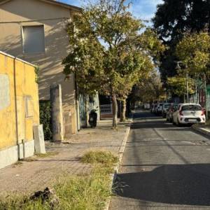 IMG-20251110-WA0031_copy_396x528