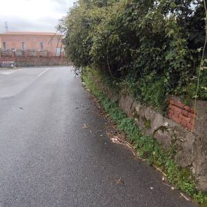 Immagine WhatsApp 2025-11-09 ore 09.38.24_631eb7c5