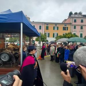 151577e9-2c96-4b9e-badf-847ce73b11bd