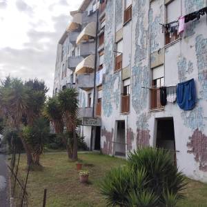 Immagine WhatsApp 2025-11-18 ore 14.11.54_6b758cc1