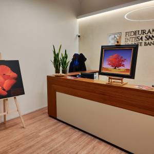 Mostra di Luciano Viani 6