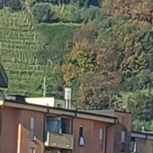 Strane costruzioni nelle colline del Candia 2