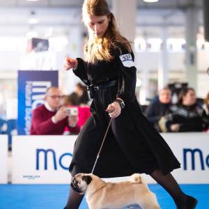 a76a570d-899c-40f5-a182-6de7edcba246