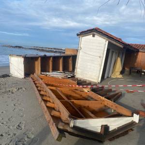 WhatsApp Image 2026-02-09 at 13.17.31 (1)