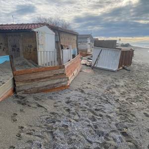 WhatsApp Image 2026-02-09 at 13.17.31 (3)