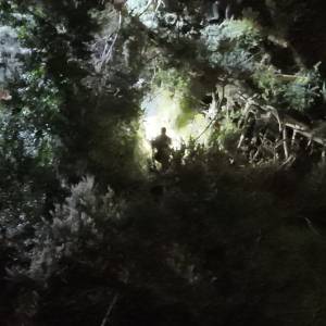 DJI_20260228200854_0004_V