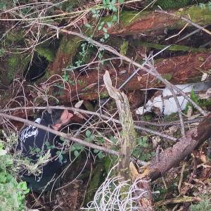 DJI_20260301100341_0010_V